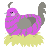 A orchid and ash chicken with a bar pattern