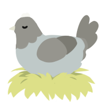 A silver and ash chicken with a head pattern