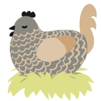 (unnamed), a ash and beige chicken with a lace pattern