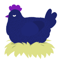 xxy navy, a navy chicken with a double-lace pattern