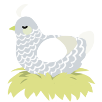 Hot Pocket, a mist and white chicken with a lace pattern
