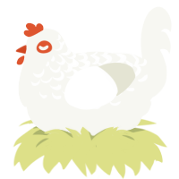 A white chicken with a half-lace pattern
