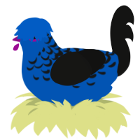 A ultramarine and black chicken with a half-lace pattern