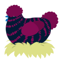 Divine, a tumblr and wine chicken with a bar pattern