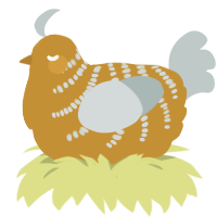 Pau, a gold and silver chicken with a half-bar pattern