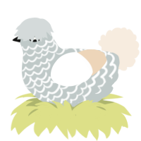 Truck Freak, a silver and cream chicken with a lace pattern