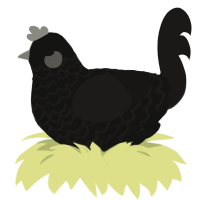 (unnamed), a black and sable chicken with a lace pattern