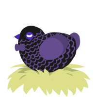 A sable and overcast chicken with a lace pattern