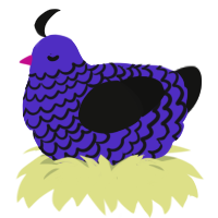 A indigo and black chicken with a lace pattern