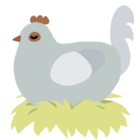 A silver and mist chicken