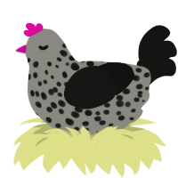 A ash and black chicken with a speckle pattern