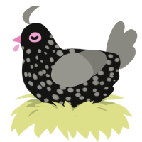 (unnamed), a black and ash chicken with a speckle pattern