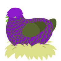 walks, a violet and olive chicken with a lace pattern