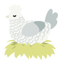 A white and silver chicken with a lace pattern