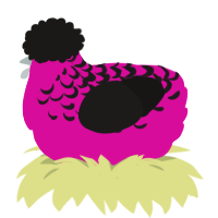 Stacey, a fuchsia and sable chicken with a half-lace pattern