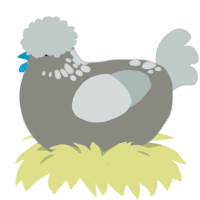 A ash and silver chicken with a neck-speckle pattern
