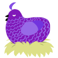 violet, a violet and blurple chicken with a lace pattern