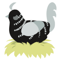 A sable and silver chicken with a half-bar pattern