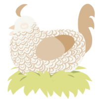 (unnamed), a white and beige chicken with a double-lace pattern