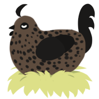 Choco Chip, a bark and sable chicken with a speckle pattern