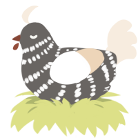 Dust, a grey and cream chicken with a bar pattern