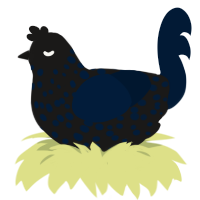 sable xyx, a sable and tumblr chicken with a speckle pattern