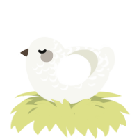A white chicken with a half-lace pattern