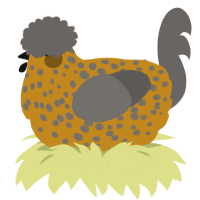 Dusty, a ochre and grey chicken with a speckle pattern