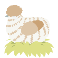 A white and beige chicken with a bar pattern