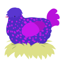 A indigo and amethyst chicken with a speckle pattern