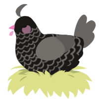 A sable and grey chicken with a lace pattern