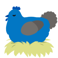 (unnamed), a sapphire and grey chicken