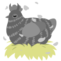 A grey and ash chicken with a bar pattern