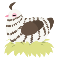 A white and bark chicken with a bar pattern