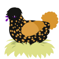 A black and orange chicken with a speckle pattern