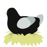 A black and silver chicken