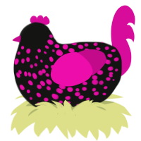 A black and fuchsia chicken with a speckle pattern