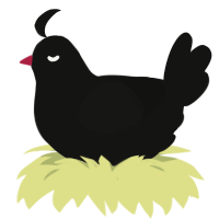 A black chicken