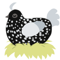 Holstein, a black and mist chicken with a speckle pattern