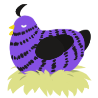 A blurple and sable chicken with a bar pattern