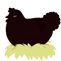 Purity, a maroon chicken with a lace pattern