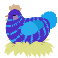 Seabreeze, a indigo and sky chicken with a bar pattern