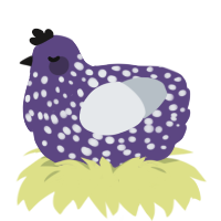A overcast and mist chicken with a speckle pattern