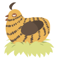 A honey and bark chicken with a bar pattern