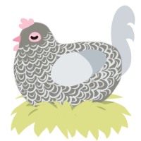 A ash and mist chicken with a double-lace pattern
