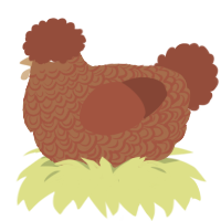 A brown and russet chicken with a double-lace pattern