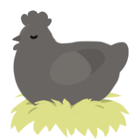 A grey chicken