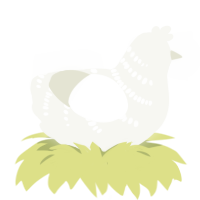 A white chicken with a half-bar pattern
