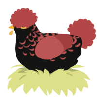A black and red chicken with a half-lace pattern