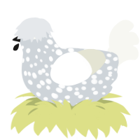 A mist and white chicken with a speckle pattern